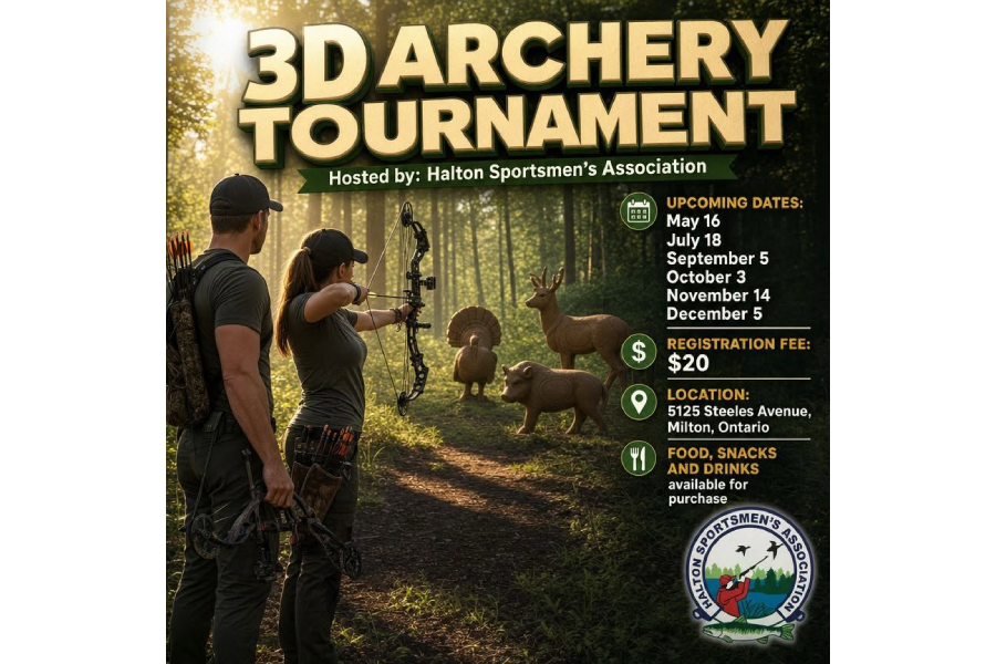 3D Archery Shoot 1