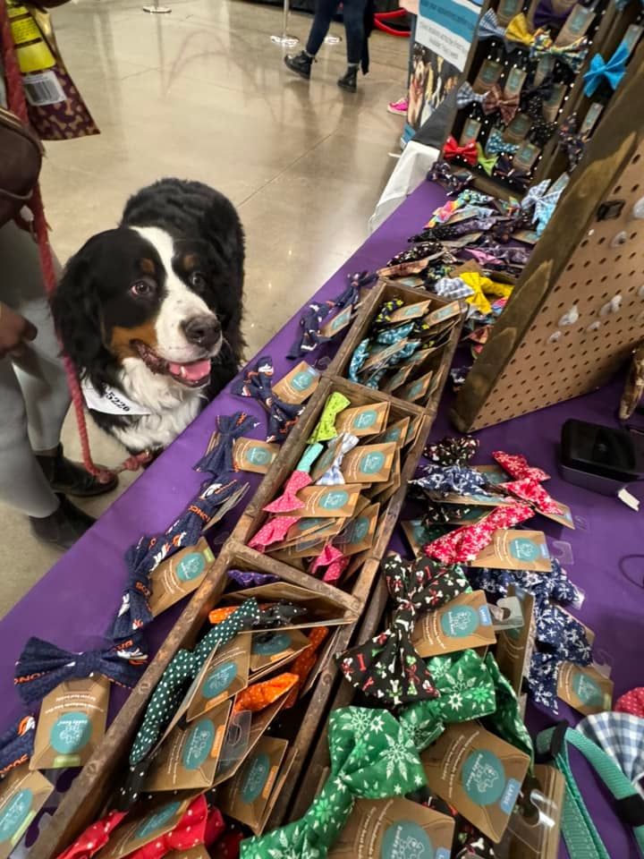 Pets on the Plaza 2