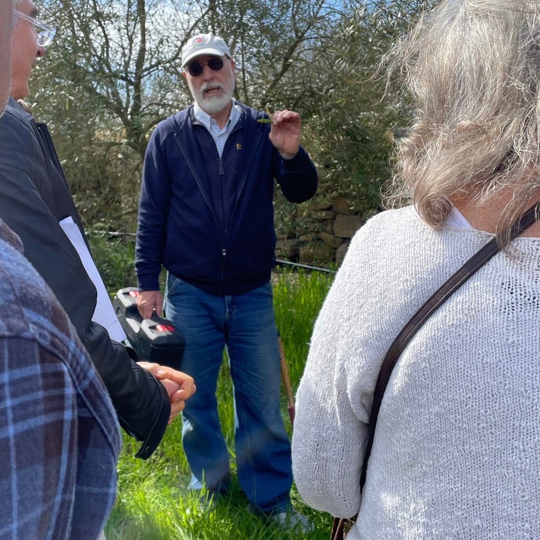 Caring for Your Olive Trees with Paul Vossen 2