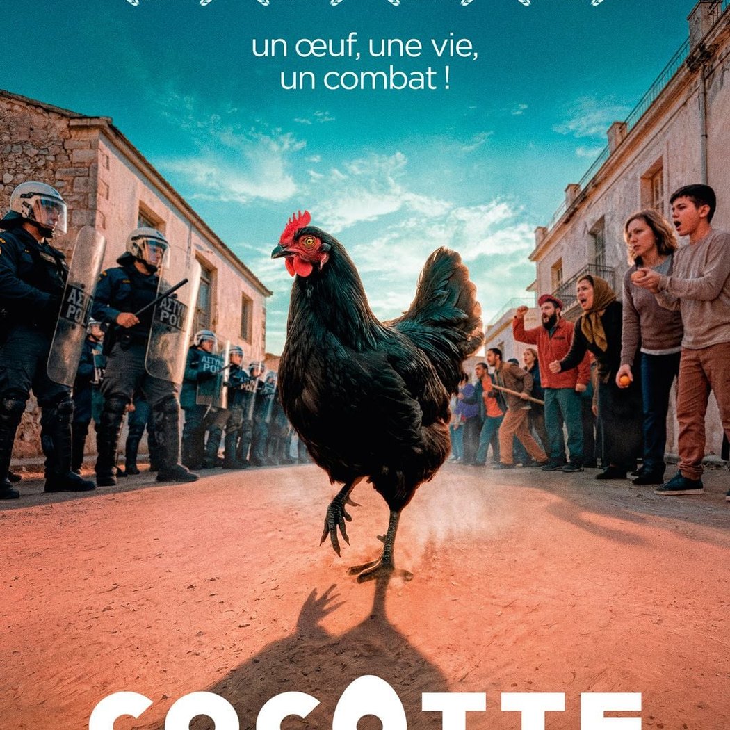 Cocotte 1