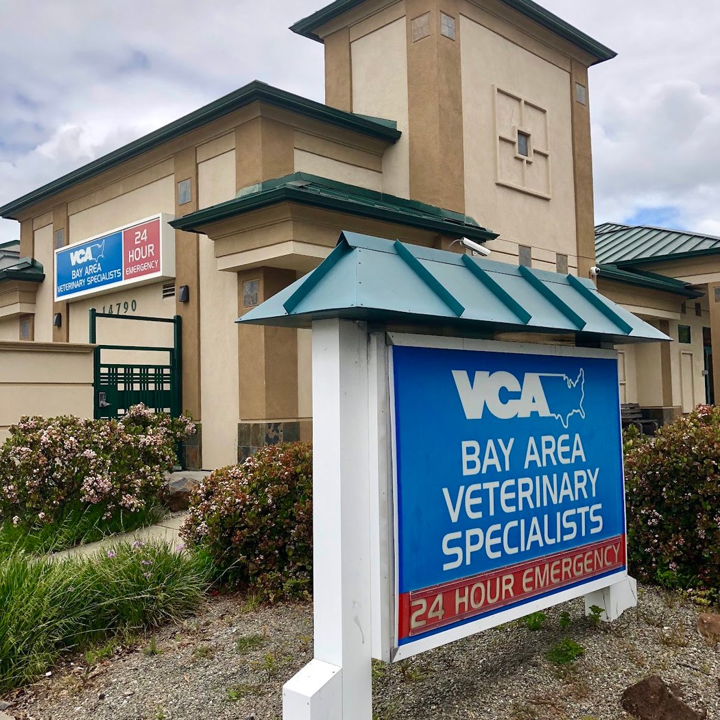 VCA Bay Area Veterinary Specialists & Emergency Hospital 3