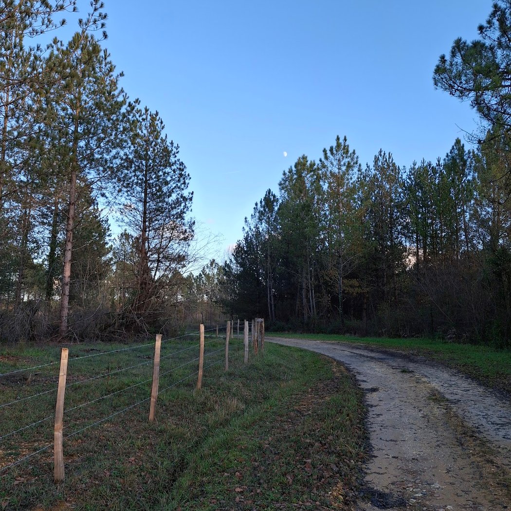 Landes de Montendre 1