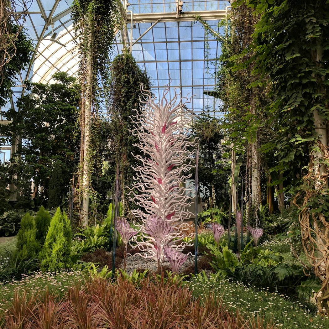 Orchid Nights - Mr. Flower Fantastic's Concrete Jungle 1