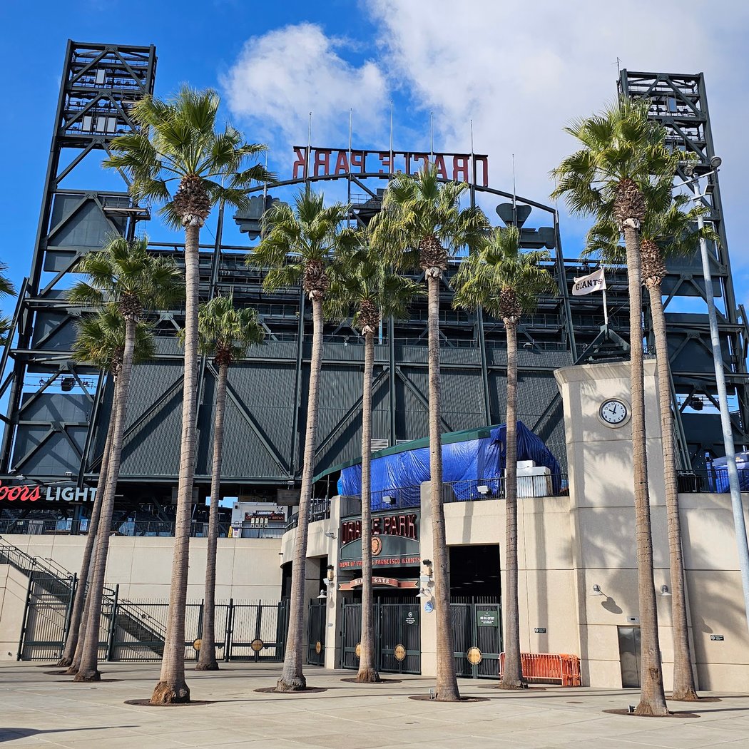 Dog Days at San Francisco Giants Stadium 3