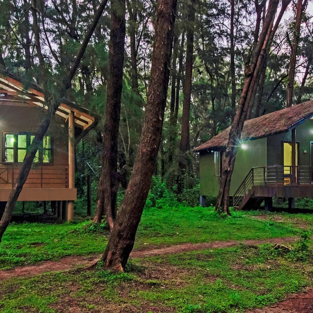 Jungle Lodges and Resorts Limited 1