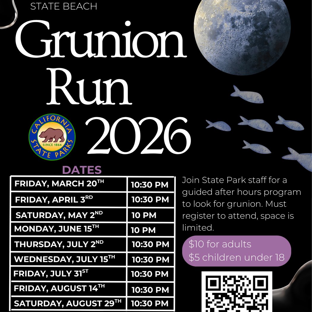 Grunion Run Guided Program & Bonfire 1