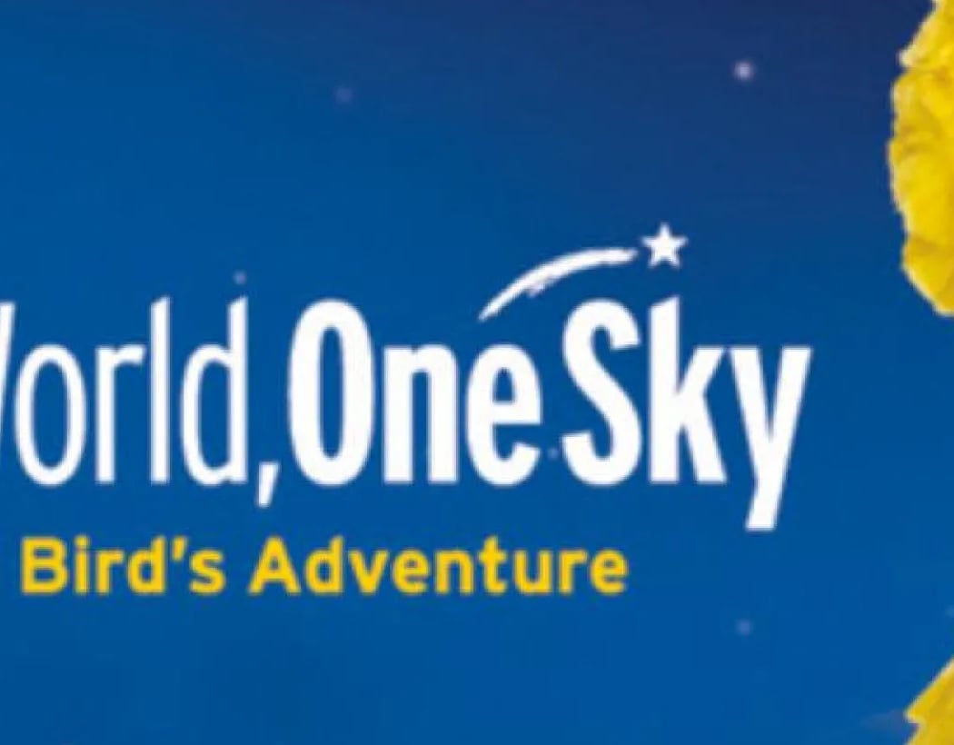 One World, One Sky: Big Bird's Adventure 1
