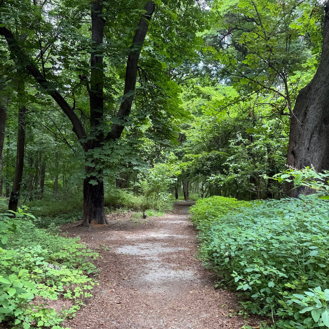 Huntington Woods 2