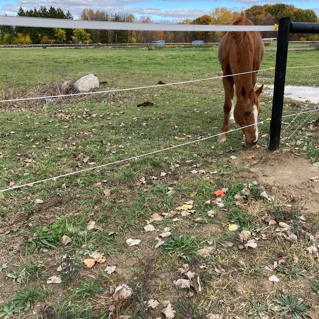 Day Acres Farm 2
