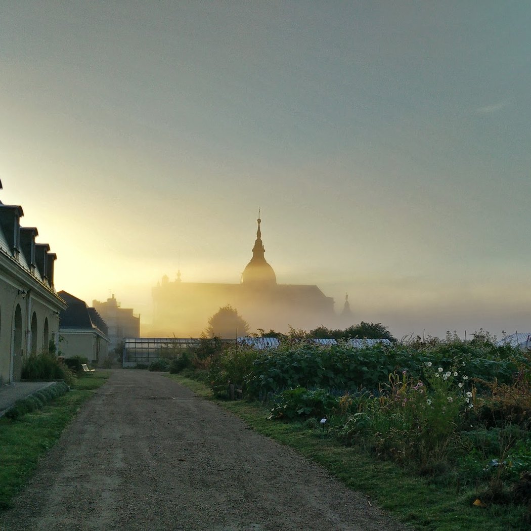 Colloque international "Du jardinage au paysage, de La Quintinie à demain" 5