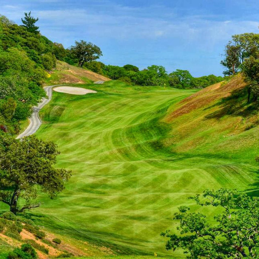StoneTree Golf Club 1