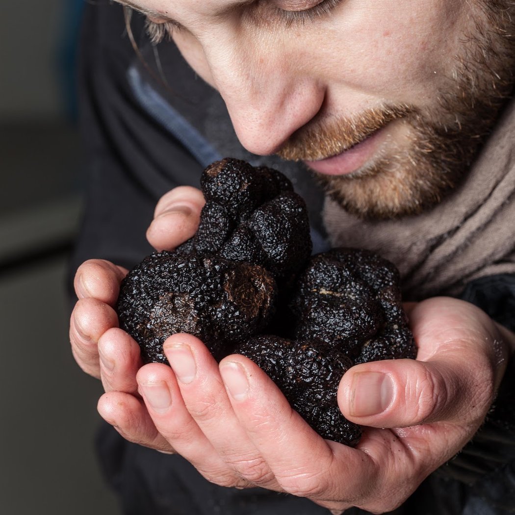 La Truffe du Ventoux par les frères Jaumard 3