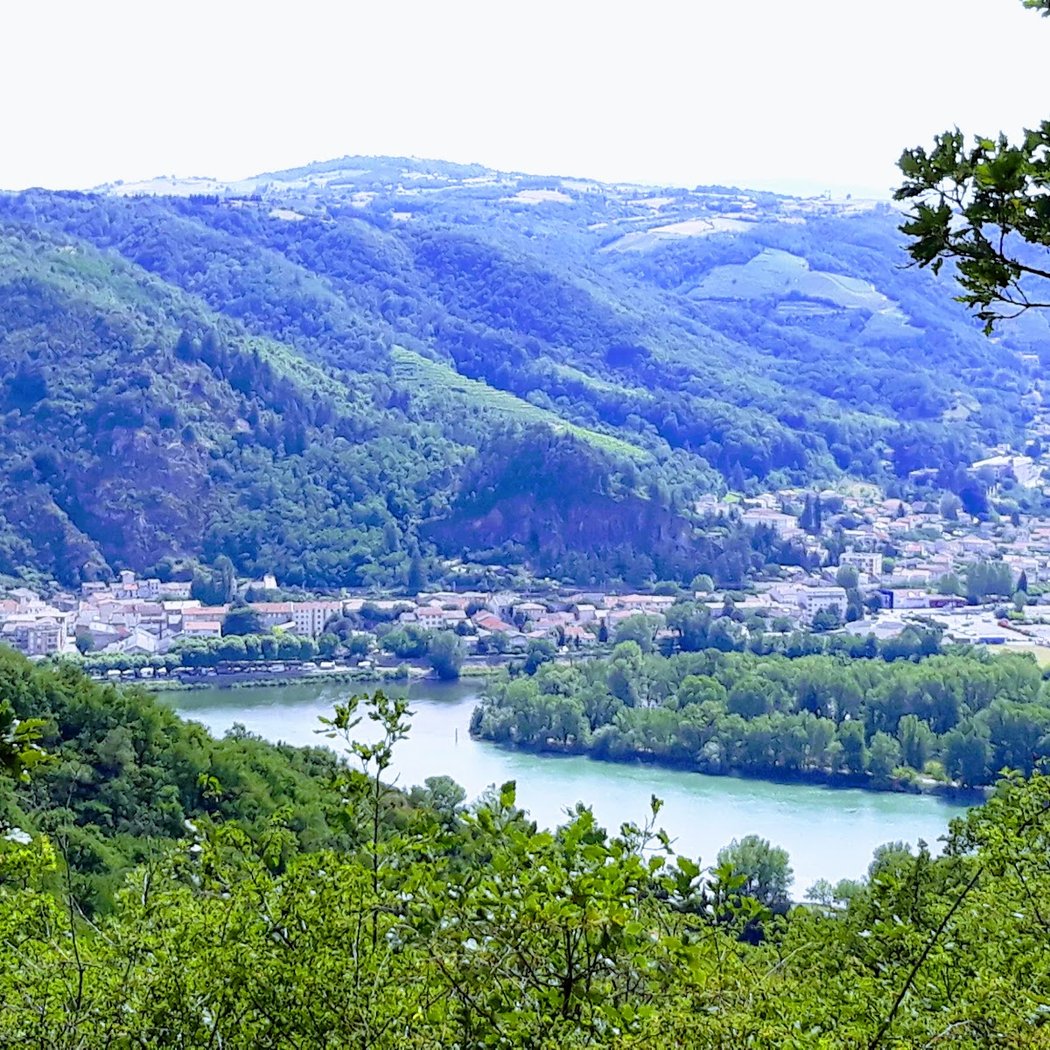 Crozes-Hermitage 3