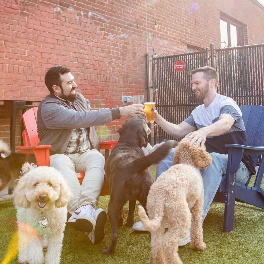 Park-9 Dog Bar 2