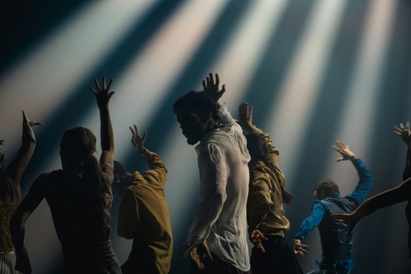 SHECHTER II In the Brain 1
