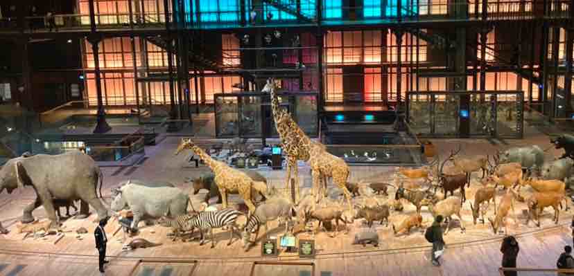 Gallery of Evolution 2