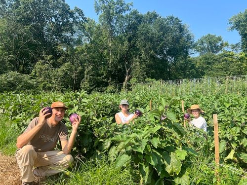 Sunday Farm Volunteer Day 1