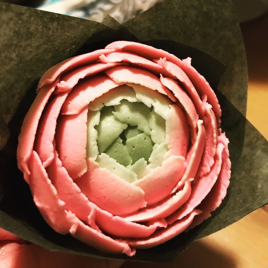 Spring Workshop 1