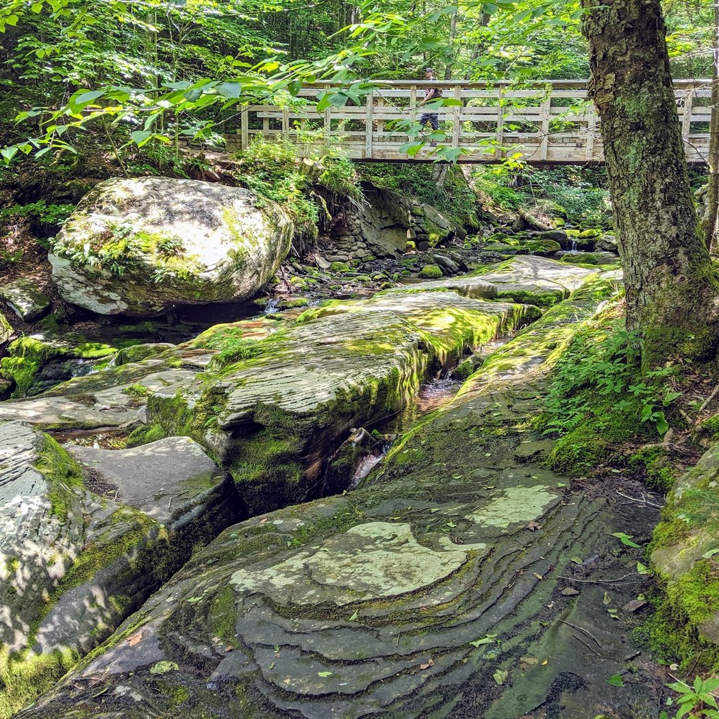 West Kill Mountain 2