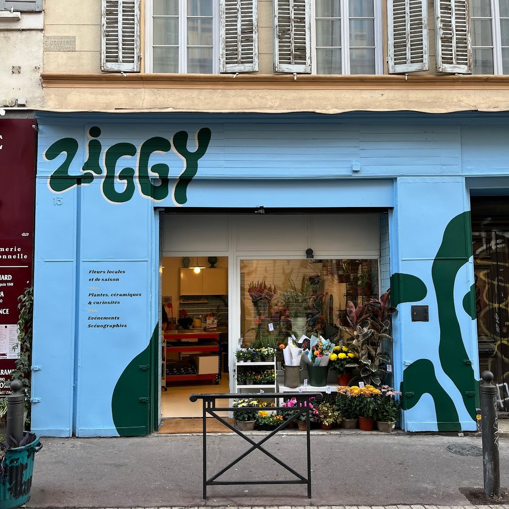 Ziggy | Fleuriste Marseille 3