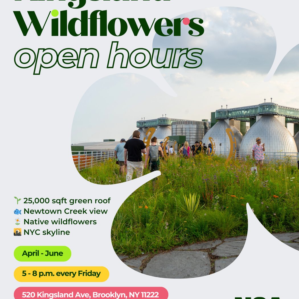 Open Hours at Kingsland Wildflowers 1
