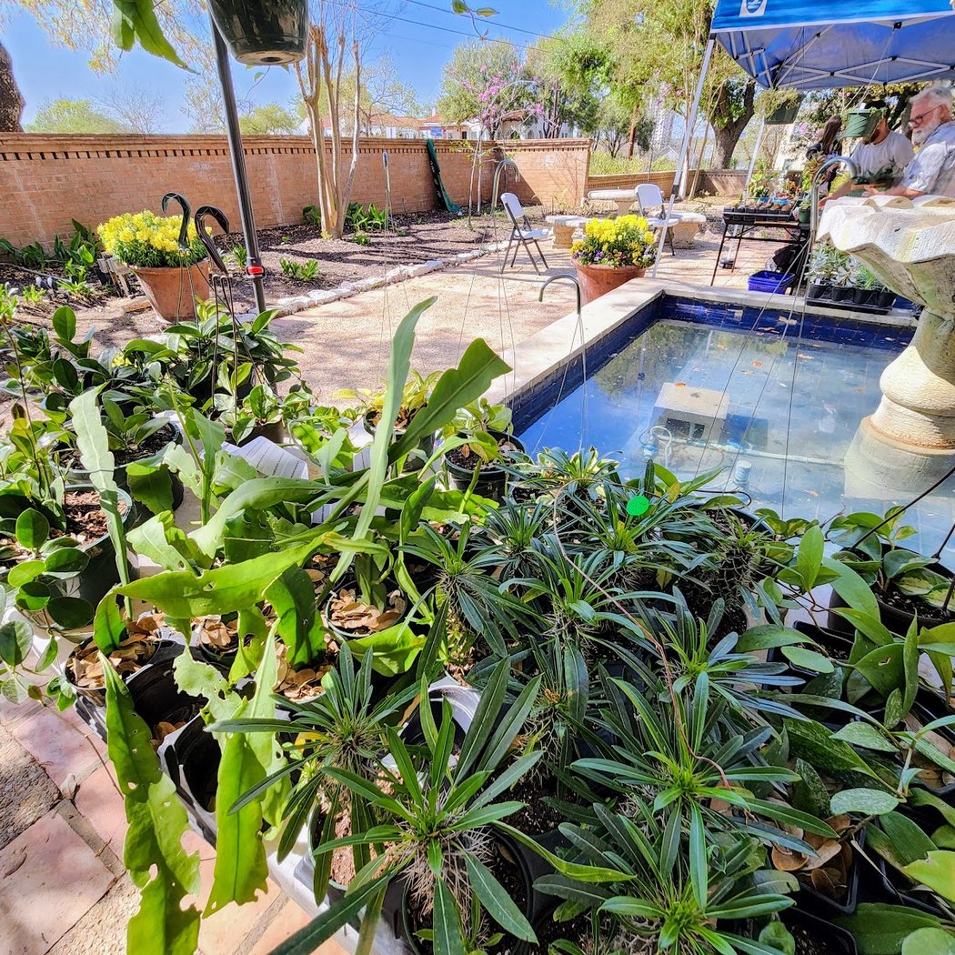 Gardening Essentials 1