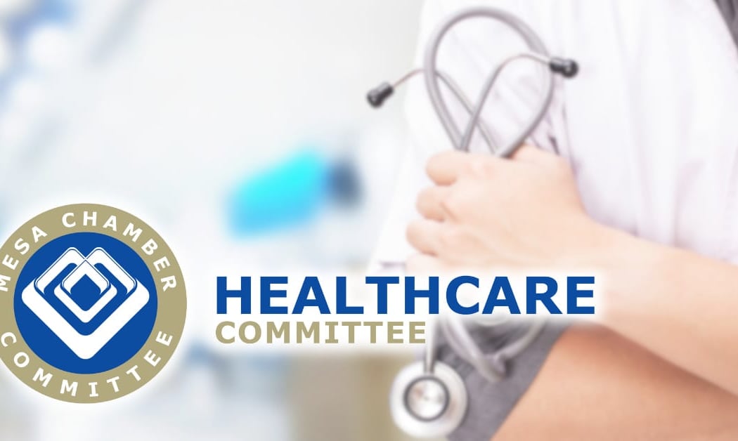 Healthcare Committee Meeting 1
