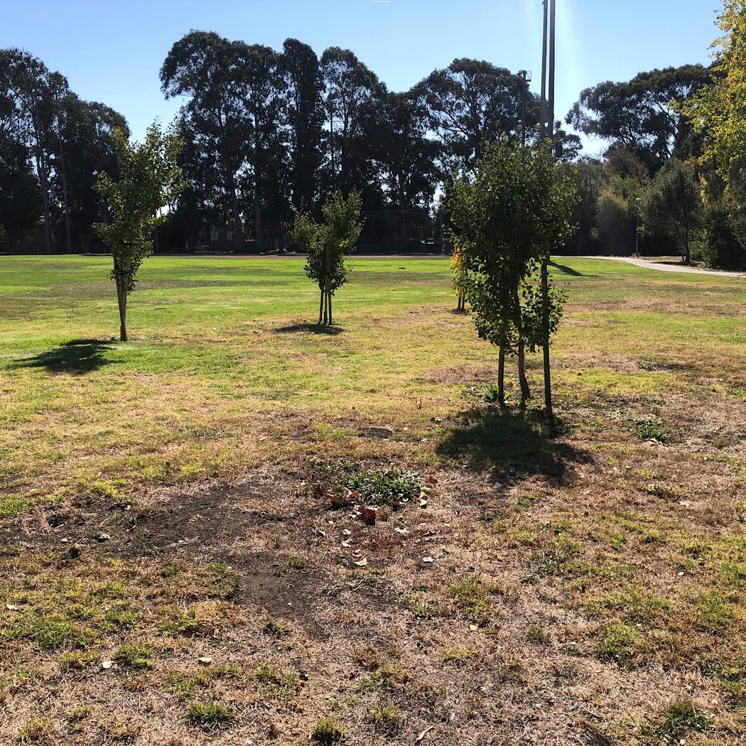 Booker T. Anderson Jr. Park 2