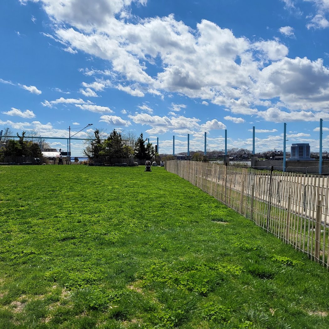 Brooklyn Bridge Park Pier 6 Liberty Lawn 3