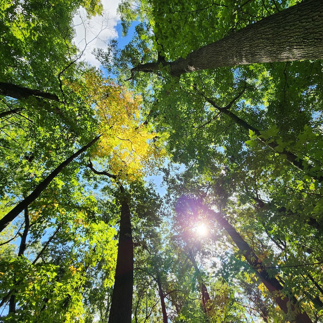 Earth Day at the Arb 1