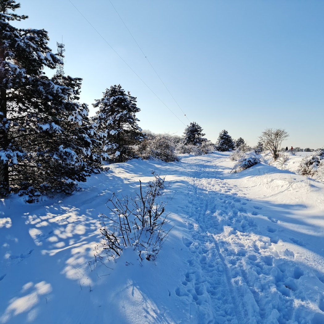 Plateau de Malzéville 1