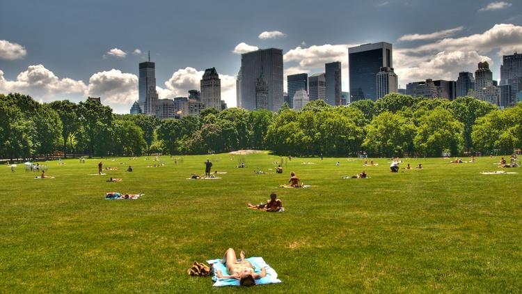 Sheep Meadow 1