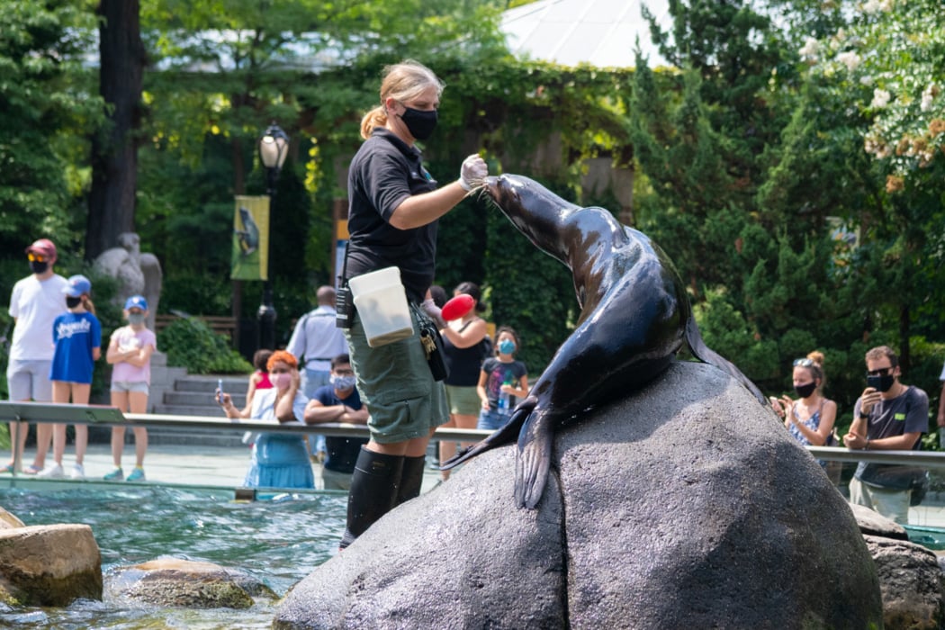 Central Park Zoo Daily Visit 1