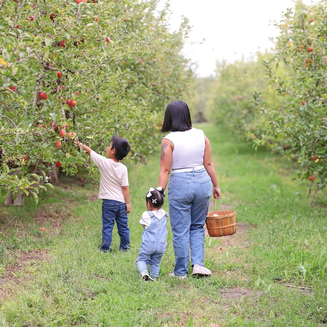 Lucky You Orchards - Ripon 1