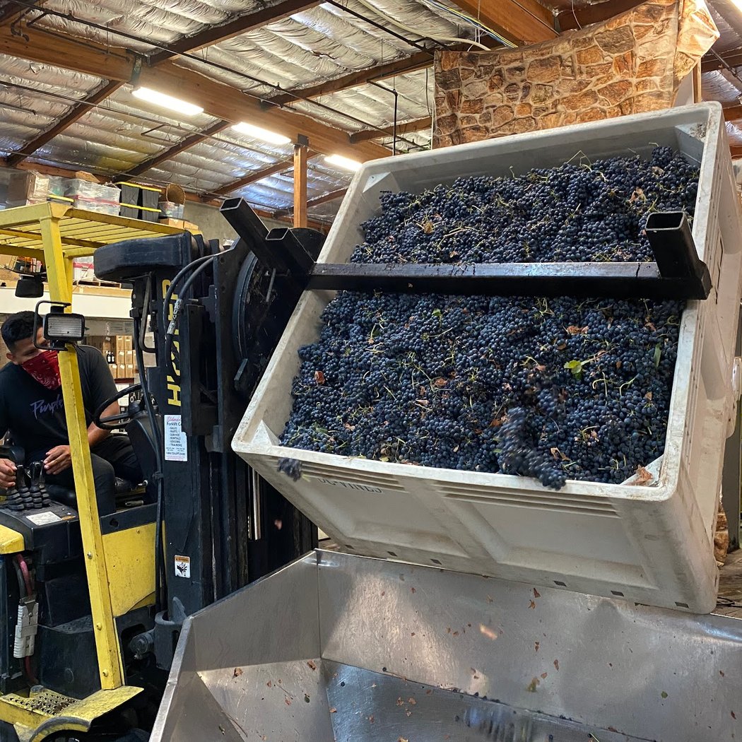 Flying Suitcase Wines 3