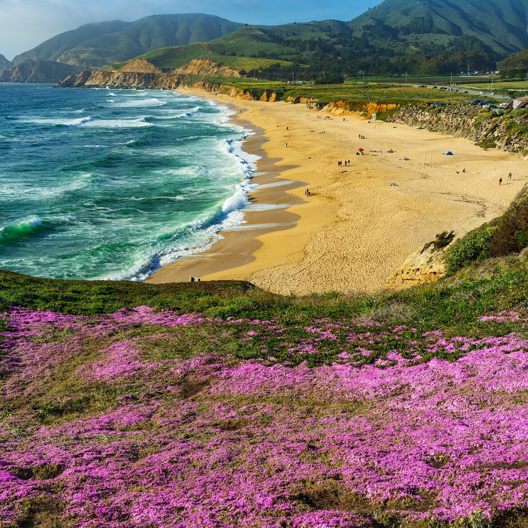 Montara State Beach 1