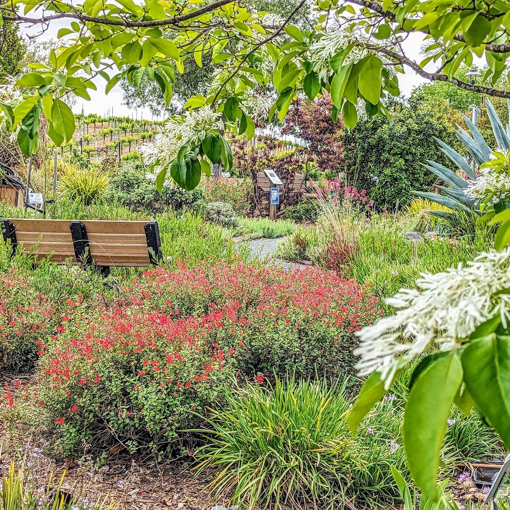 Master Gardeners of Alameda County Livermore Demonstration Garden 1