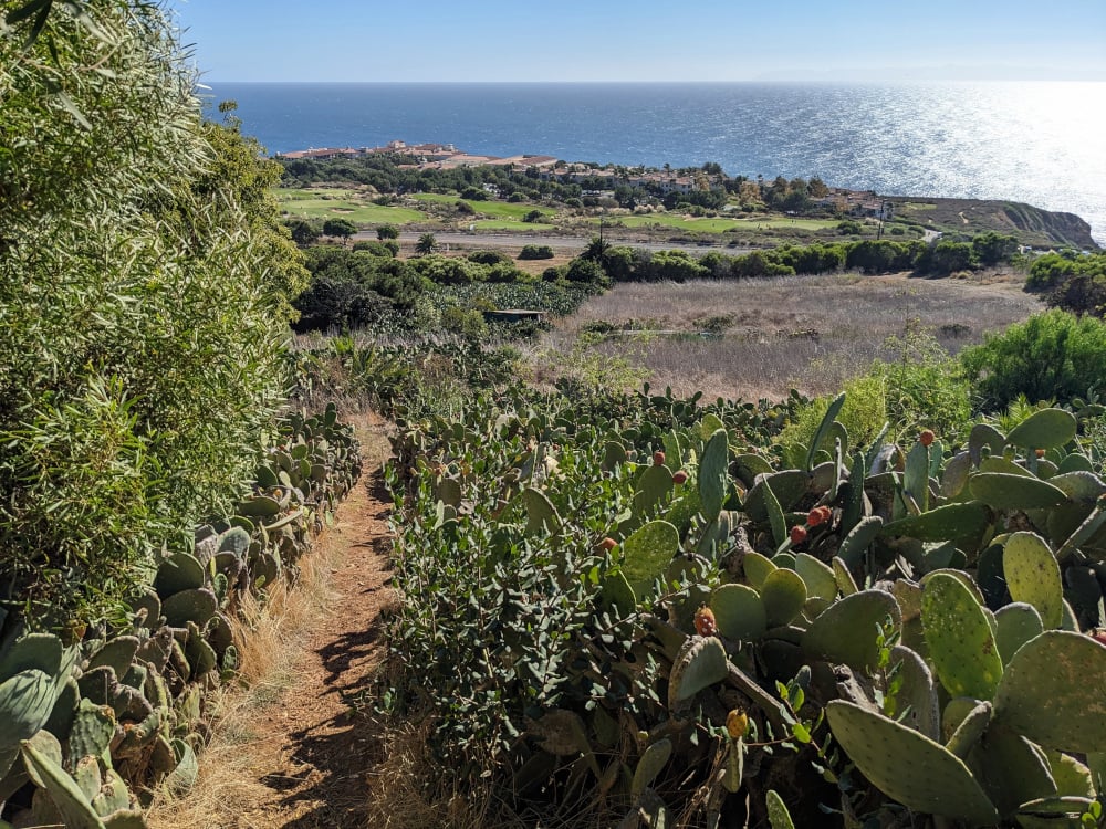 Alta Vicente Reserve Outdoor Volunteer Day 3