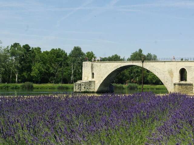 The Bridge of Avignon 2
