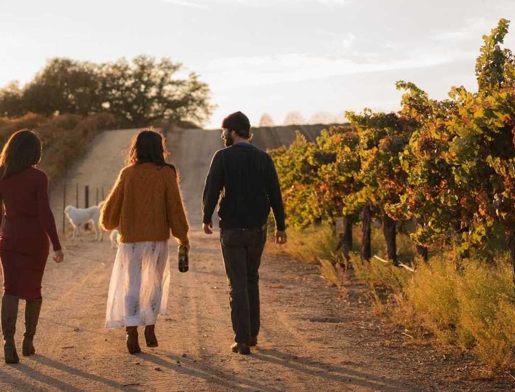 Paso Robles 2