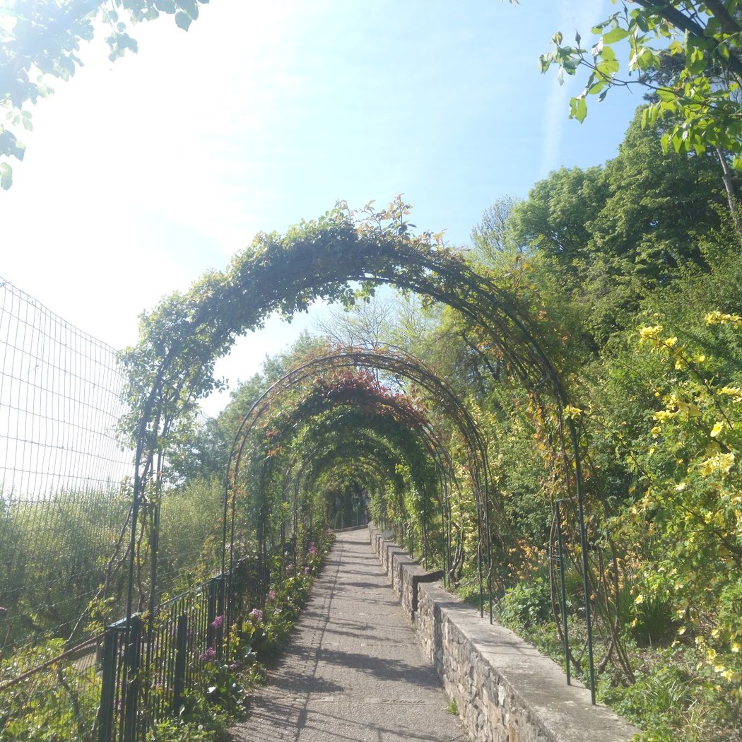 Parc des Hauteurs 1