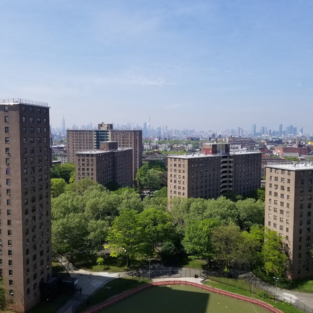 NYCHA In Nature: Intro to Birding 1