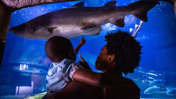 Long Island Aquarium 1