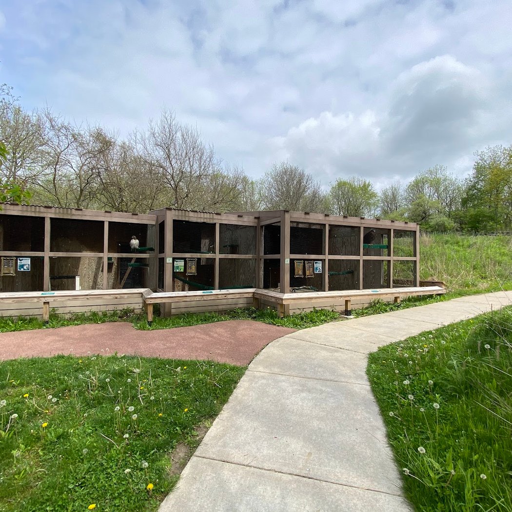 Critter House Open Hours 5