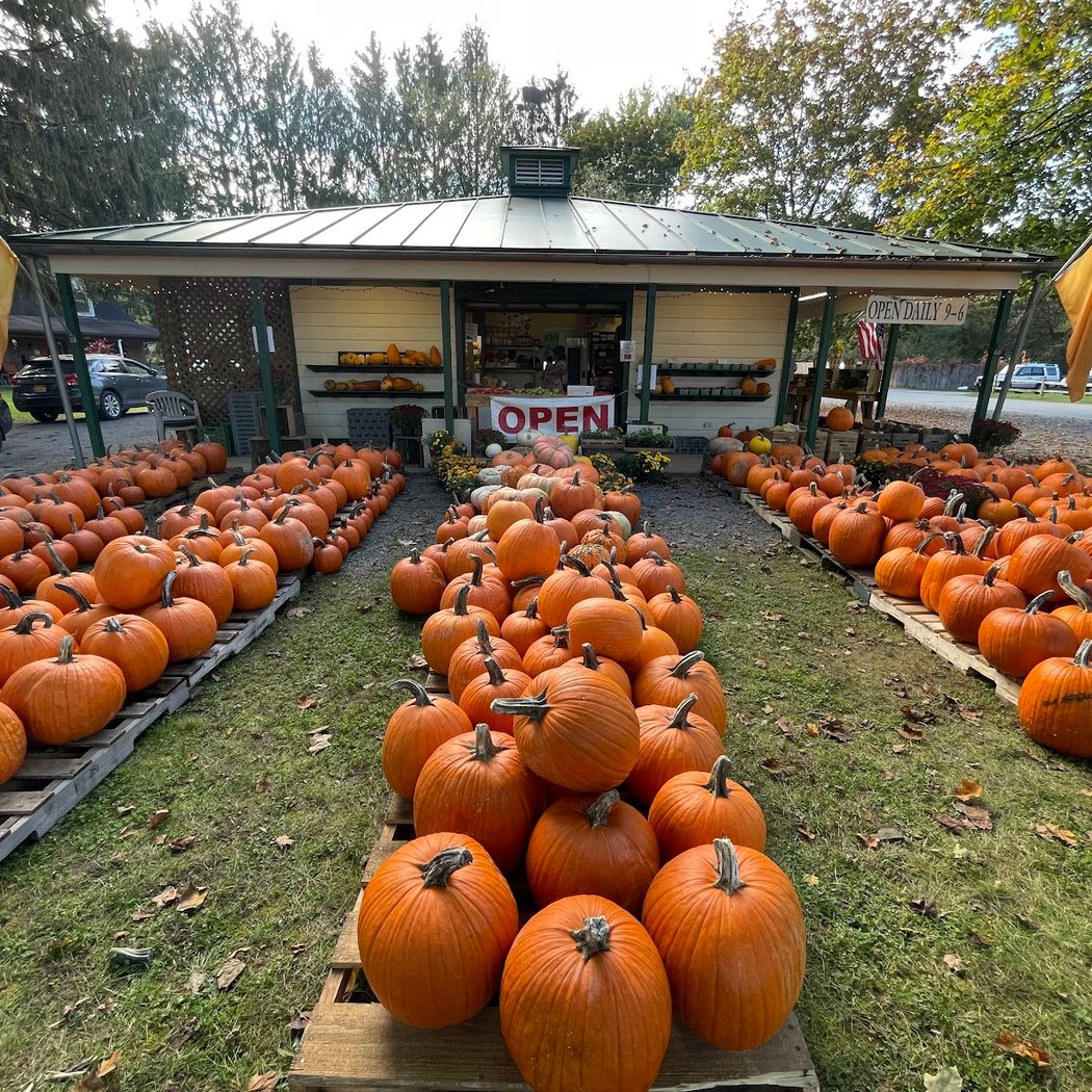 Migliorelli Farm Stand 3