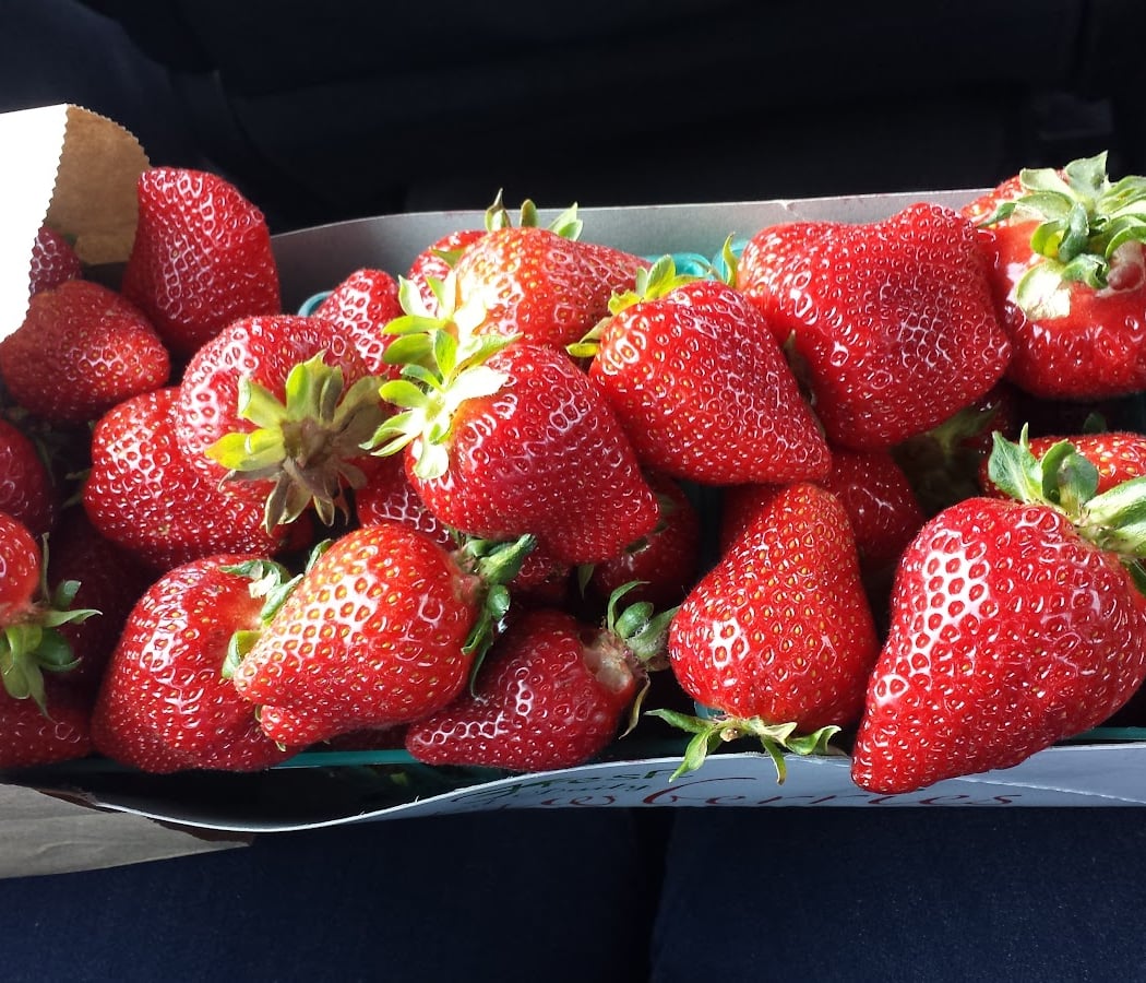 Lao Strawberries 3