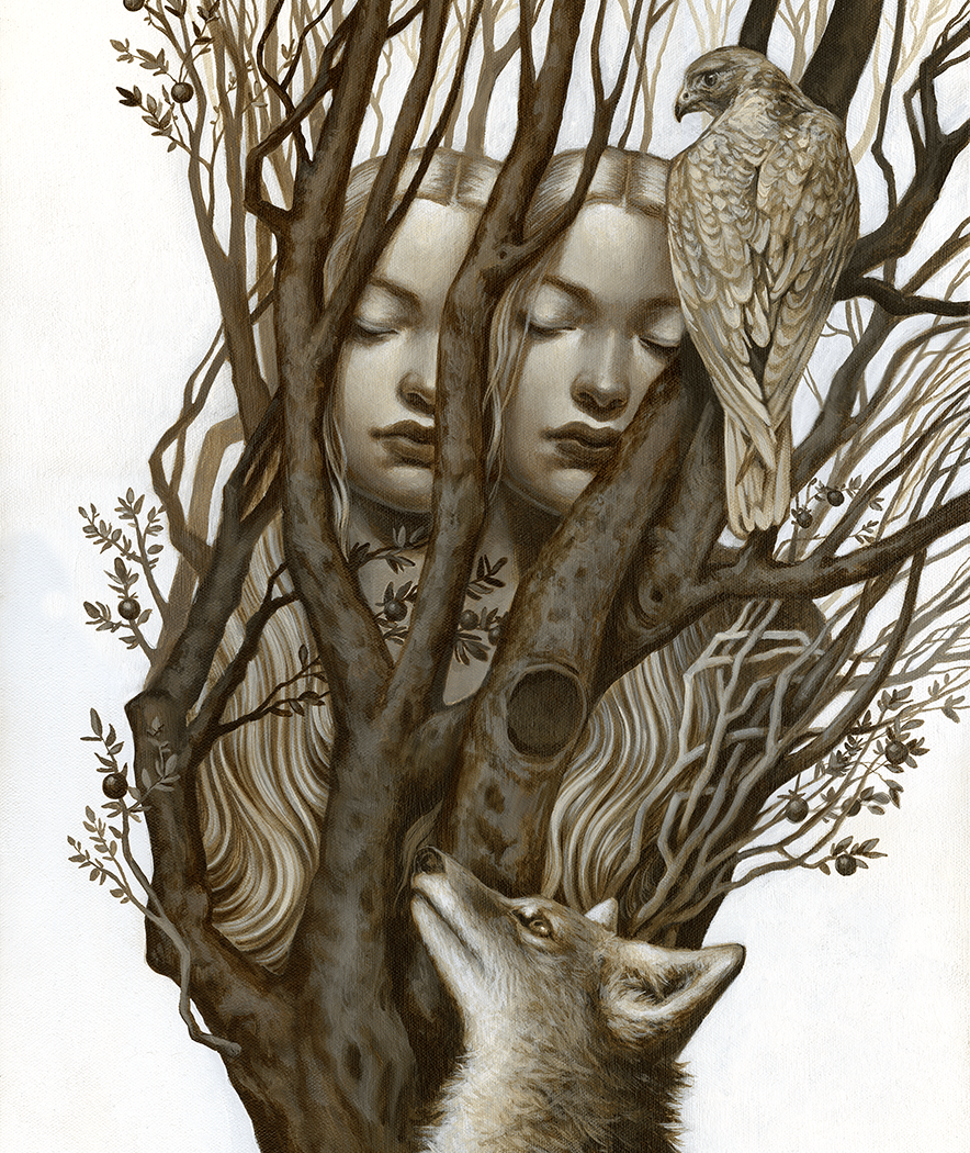 Kara Timmons: Where Light Enters 2