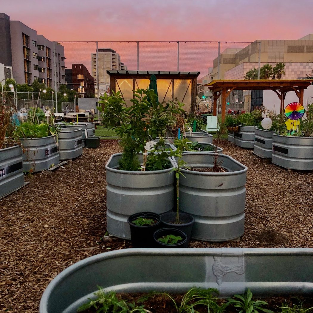 Parklab Community Garden 2