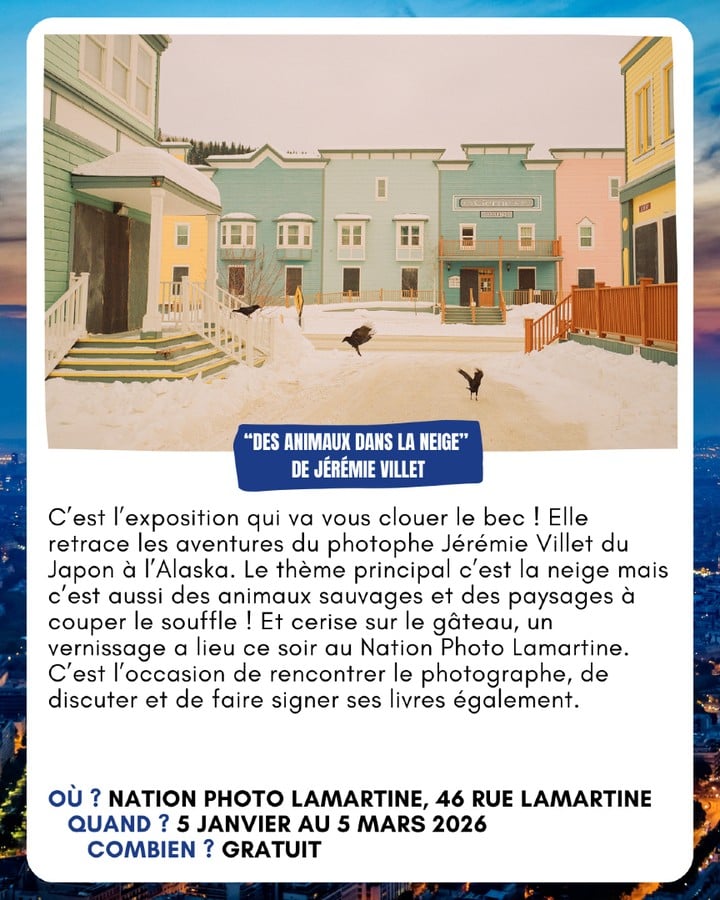 Des Animaux Dans La Neige 1
