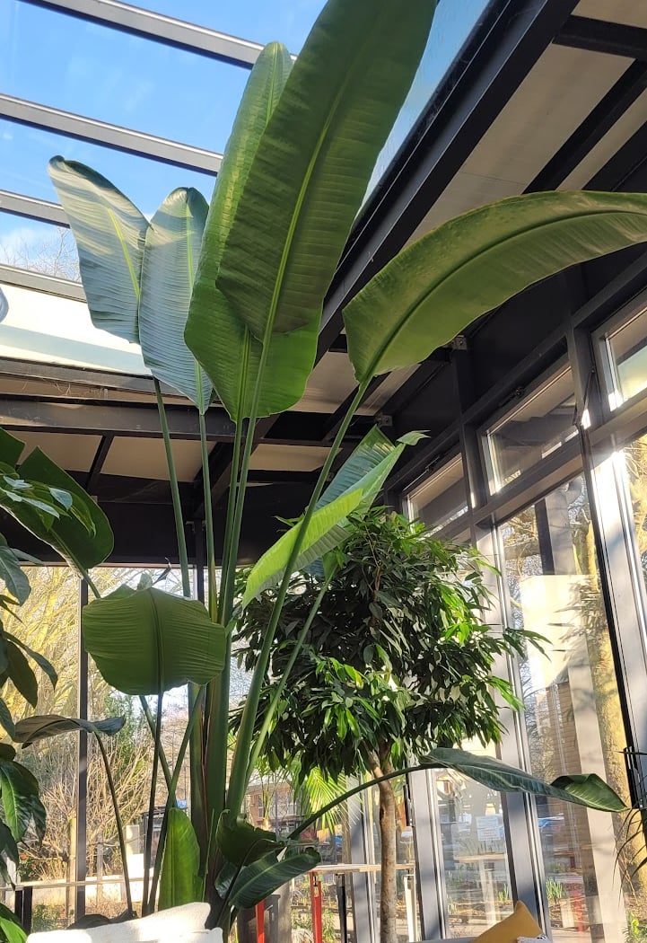 Exposition immersive \u00e0 la Maison de l'environnement : Parfums de nature 4